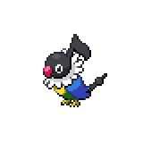 Chatot, Victory Road Wiki