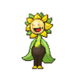 Mega Sunflora (Female