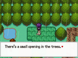 Route 10 Hidden Grotto.png
