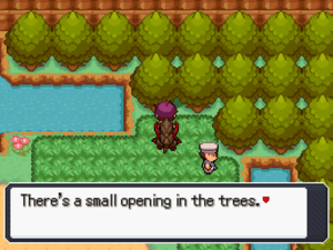Route 17 Hidden Grotto.png